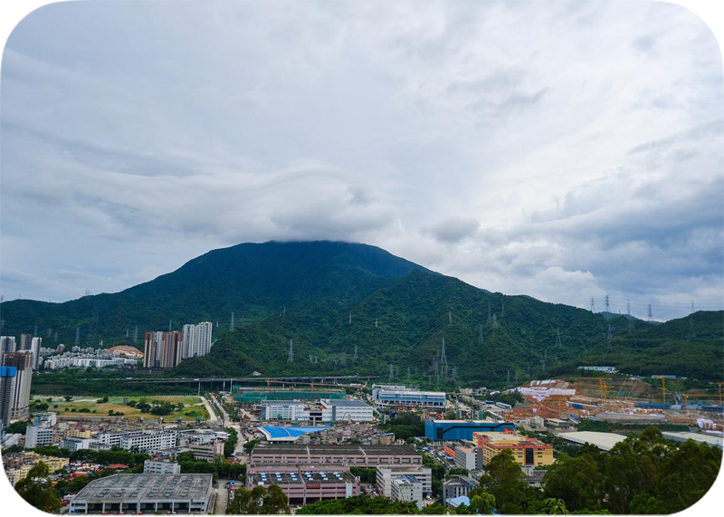 重庆竹能新材料科技有限公司